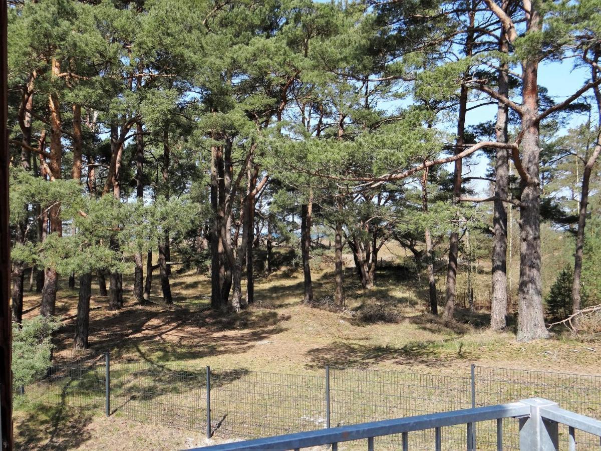 Ferienanlage Haus Hinter Den Duenen App 6 Dg 2 Prerow Bagian luar foto